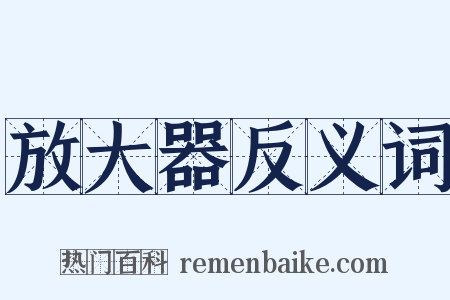 放大器反义词是什么意思的图片